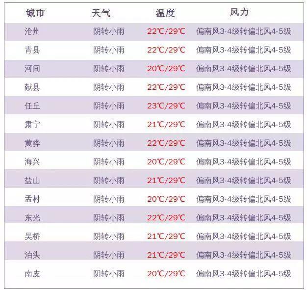 滄州公租房最新消息全面解讀，滄州公租房最新動態(tài)全面解析