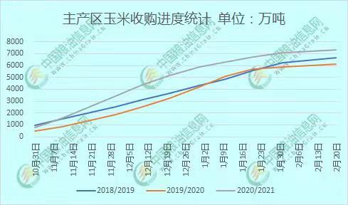 全國玉米價格最新行情分析，全國玉米價格最新行情解析