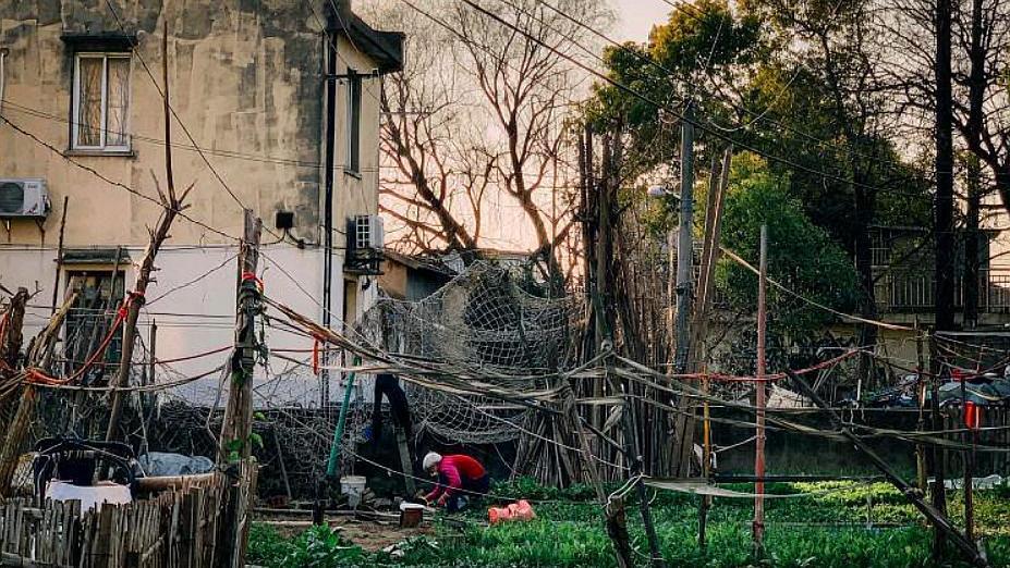 上海最新拆遷動態(tài)，變化中的城市面貌與居民生活，上海拆遷最新動態(tài)，城市面貌與居民生活的變遷