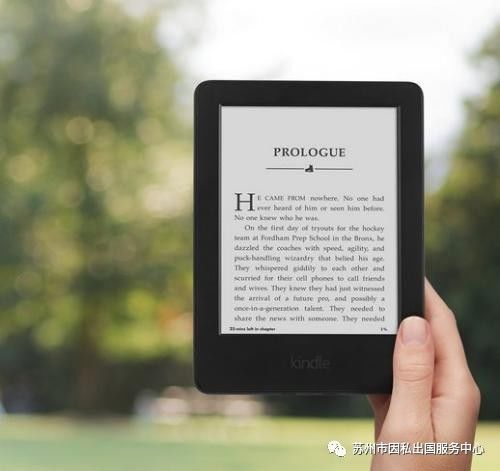 新澳資料免費最新正版,機構(gòu)預測解釋落實方法_Kindle48.545