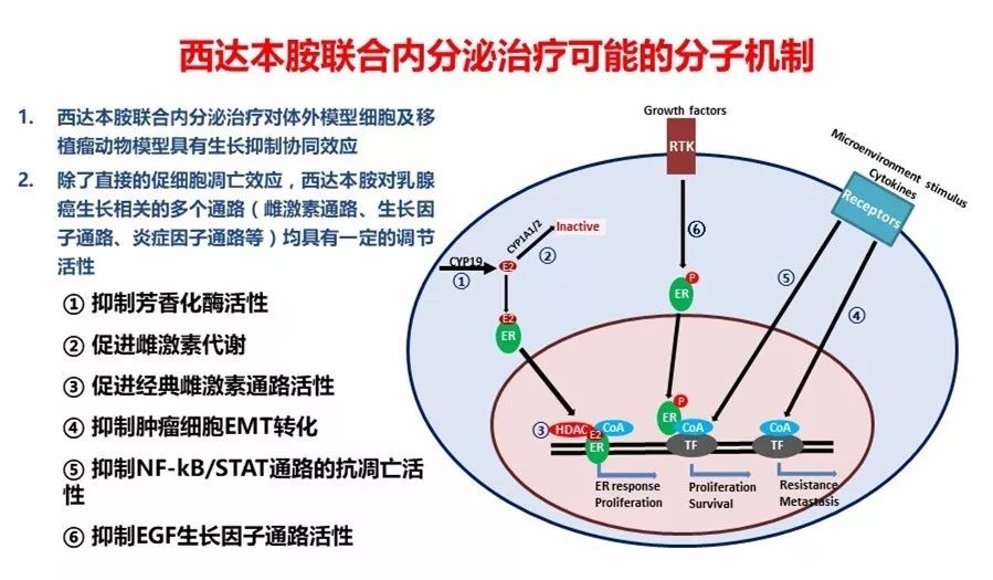 西達(dá)本胺最新消息，研發(fā)進(jìn)展、應(yīng)用前景及市場趨勢分析，西達(dá)本胺最新研發(fā)進(jìn)展、應(yīng)用前景與市場需求分析，最新消息和市場趨勢探討