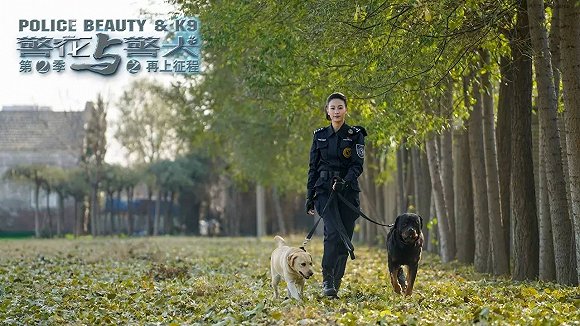 警花與警犬2最新消息，熱血回歸，人與犬的正義新篇章，警花與警犬2熱血回歸，人與犬的正義新篇章最新消息