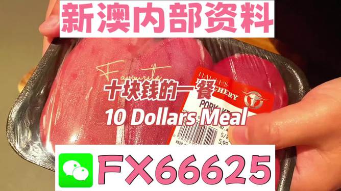 關(guān)于新澳全年免費(fèi)資料大全的警示與探討，新澳全年免費(fèi)資料大全，警示與探討