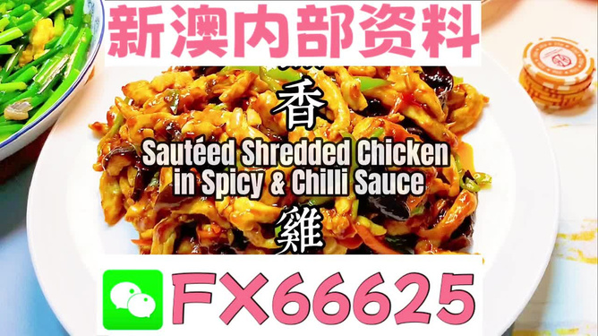 新奧天天精準資料大全，探索與解析，新奧天天精準資料大全，深度探索與全面解析