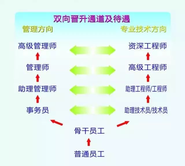 立訊精密最新招聘信息概覽，立訊精密最新招聘信息全面解析