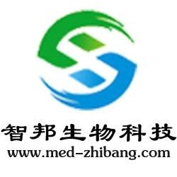 武漢維新智云科技有限公司，引領(lǐng)科技前沿，塑造數(shù)字未來，武漢維新智云科技，引領(lǐng)數(shù)字未來，科技前沿領(lǐng)航者