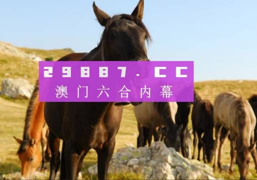 澳門管家婆與肖一碼，獨特的視角與精準(zhǔn)的預(yù)測，澳門管家婆與肖一碼，獨特視角與精準(zhǔn)預(yù)測揭秘