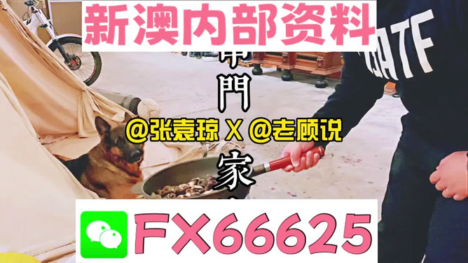 管家婆免費(fèi)資料大全公開(kāi)，探索與解析，管家婆免費(fèi)資料大全揭秘，探索與解析