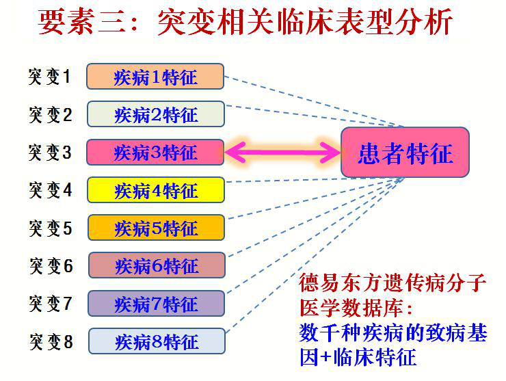 臺塑石化倒閉原因分析，臺塑石化倒閉原因深度解析