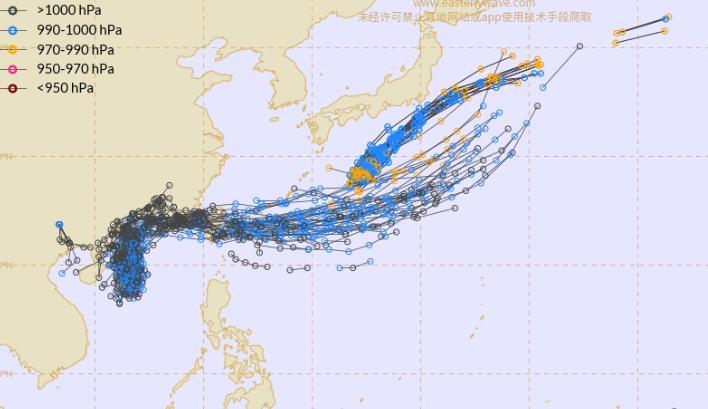 今年二號(hào)臺(tái)風(fēng)最新消息及其影響分析，今年二號(hào)臺(tái)風(fēng)最新動(dòng)態(tài)及其影響深度解析