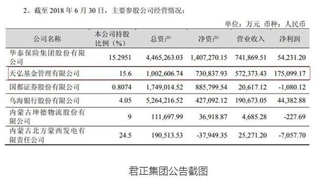 君正集團(tuán)未來估值，展望與預(yù)測(cè)