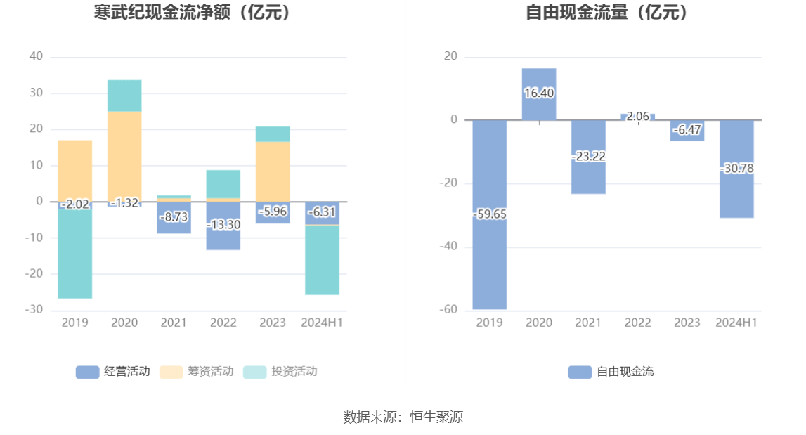 寒武紀(jì)2024年目標(biāo)價的深度解析與展望，寒武紀(jì)2024年目標(biāo)價的深度解析及展望，未來趨勢與市場預(yù)測