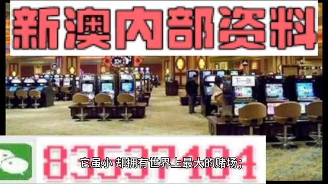 澳門正版精準免費大全——揭示違法犯罪問題，澳門正版精準免費大全揭秘違法犯罪問題