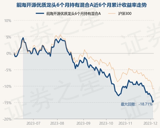 前海開源優(yōu)質(zhì)龍頭6個月持有期混合投資基金的投資策略與前景展望，前海開源優(yōu)質(zhì)龍頭混合基金投資策略及前景展望，六個月持有期視角下的機遇與挑戰(zhàn)