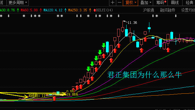 君正云通，一只10倍牛股的成長之路，君正云通，牛股成長之路揭秘，邁向十倍增長之路