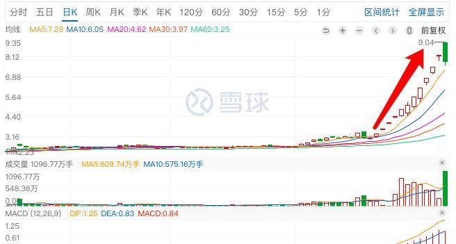 君正集團(tuán)，是妖股還是價(jià)值投資之選？，君正集團(tuán)，價(jià)值投資還是妖股之爭(zhēng)？