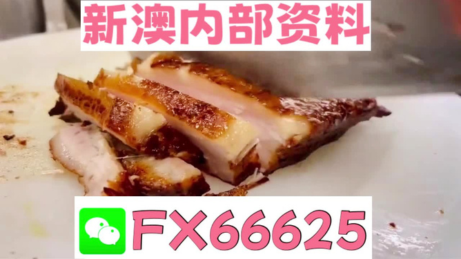 新奧長(zhǎng)期免費(fèi)資料大全，深度挖掘與探索，新奧長(zhǎng)期免費(fèi)資料深度挖掘與探索大全