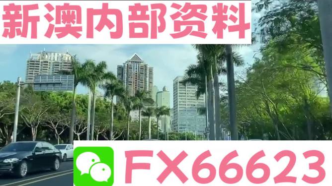 新澳精準(zhǔn)資料免費(fèi)提供353期，深度解析與前瞻性預(yù)測，新澳精準(zhǔn)資料353期深度解析與前瞻性預(yù)測，免費(fèi)資料大放送！