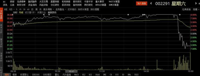 澳門開獎直播,綜合分析解釋定義_DX版24.74