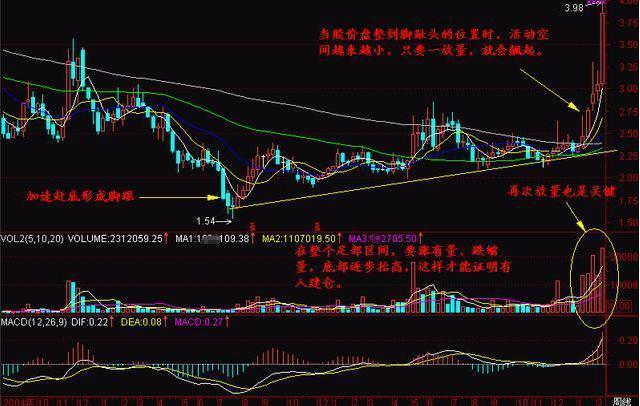 探尋未來之星，2025年有望翻十倍的潛力股票，探尋未來之星，潛力股票展望2025年十倍增長之路