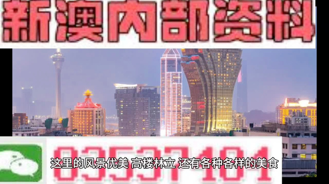 2024新奧精準(zhǔn)資料大全概覽，2024新奧精準(zhǔn)資料大全總覽