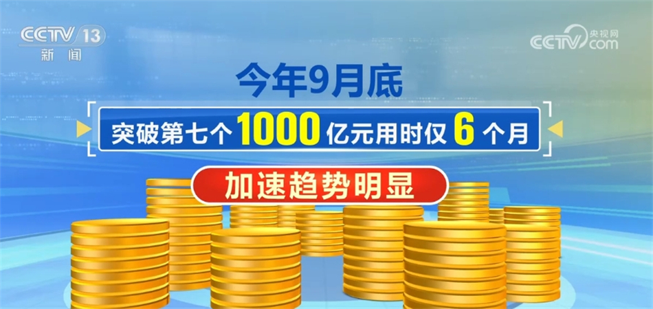 關于新澳2024年精準一肖一碼，一個關于違法犯罪問題的探討，關于新澳2024年精準一肖一碼，違法犯罪問題的探討與警示