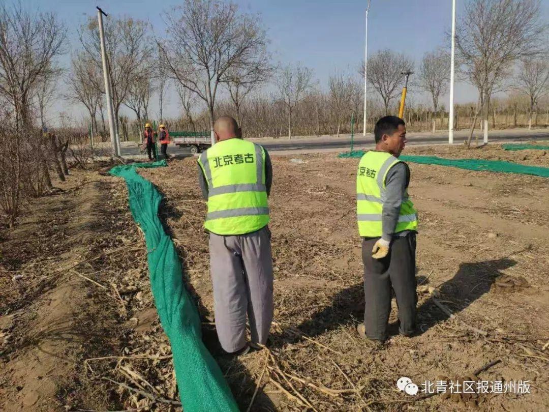 漷縣最新規(guī)劃，塑造未來城市的藍(lán)圖，漷縣未來城市藍(lán)圖，最新規(guī)劃揭秘