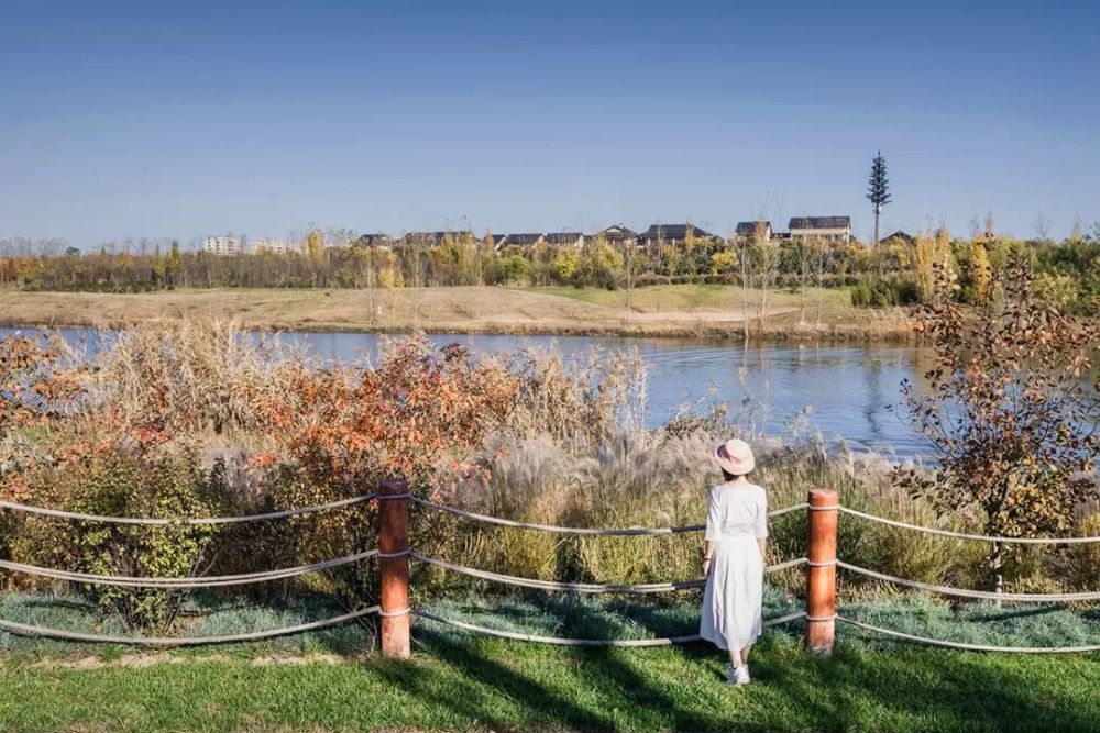 西安最新濕地公園，生態(tài)與文化的完美融合，西安最新濕地公園，生態(tài)與文化的和諧共融