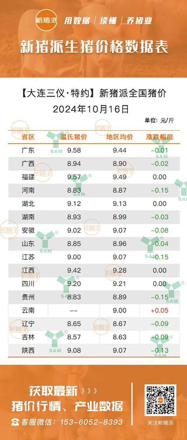 最新仔豬市場行情分析，最新仔豬市場行情深度解析