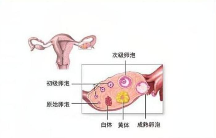 破曉之光 第3頁