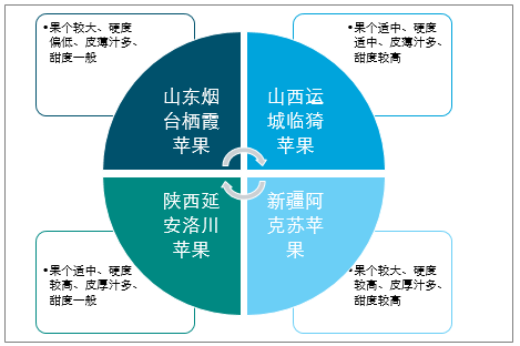 陜西蘋(píng)果產(chǎn)業(yè)全產(chǎn)業(yè)鏈深度解析，陜西蘋(píng)果產(chǎn)業(yè)全產(chǎn)業(yè)鏈深度探究