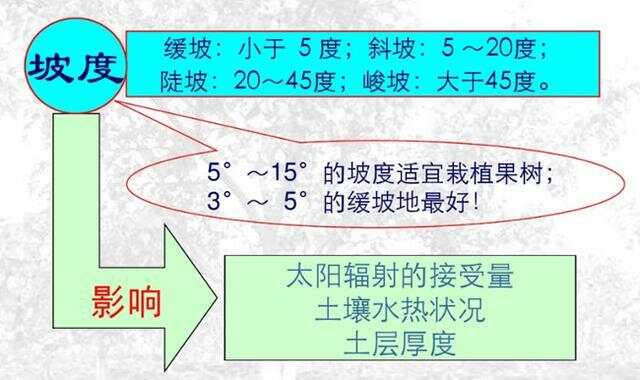 坡度超過25度耕地減少的原因分析，坡度超過25度耕地減少的原因探究