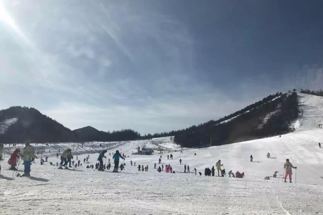 滑雪最好的地方，探索雪域奇境的魅力，探索雪域奇境，滑雪的最佳勝地