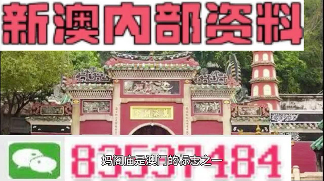 澳門三肖三碼精準100%黃大仙——揭示背后的違法犯罪問題，澳門三肖三碼精準預測背后的違法犯罪問題揭秘