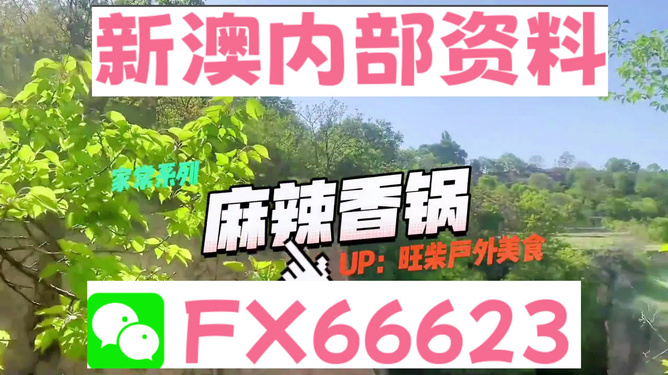 新澳精準(zhǔn)資料免費(fèi)提供的深度解析，新澳精準(zhǔn)資料深度解析，免費(fèi)提供的內(nèi)幕揭秘