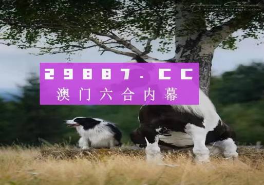 澳門今晚開特馬四不像圖——探索澳門彩票的奧秘，澳門彩票奧秘探索，特馬四不像圖今晚揭曉