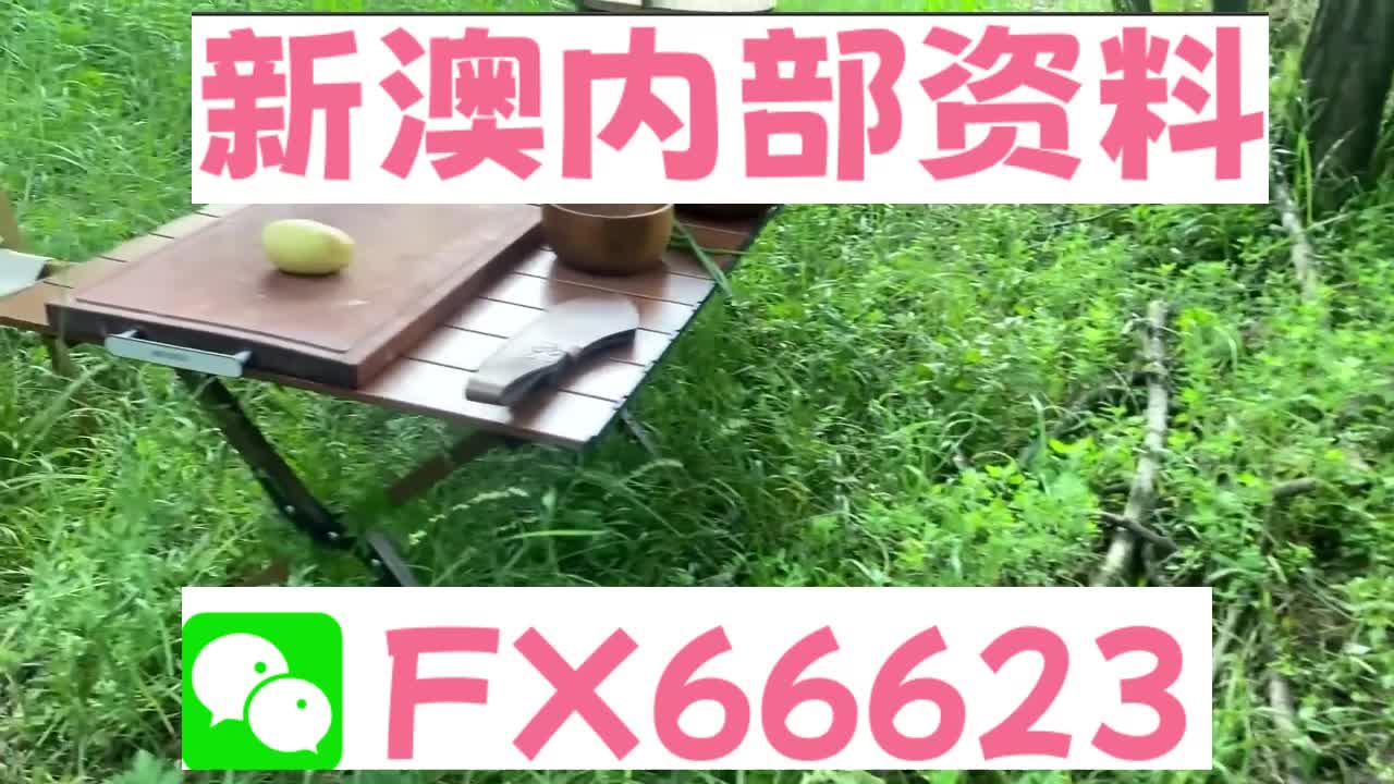 新澳天天開獎(jiǎng)資料大全與旅游攻略詳解，新澳天天開獎(jiǎng)資料及旅游攻略詳解大全