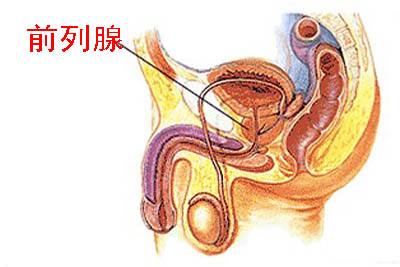 前列腺自我按摩手法圖解，一種有效的自我保健方法，前列腺自我按摩手法圖解，有效保健新方法！