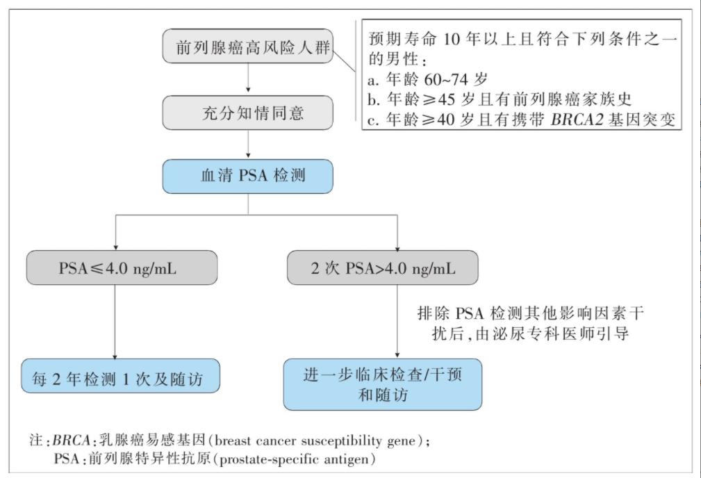 男性健康咨詢在線，探索新時代男性健康之路，男性健康咨詢在線，探索新時代男性健康之路的旅程