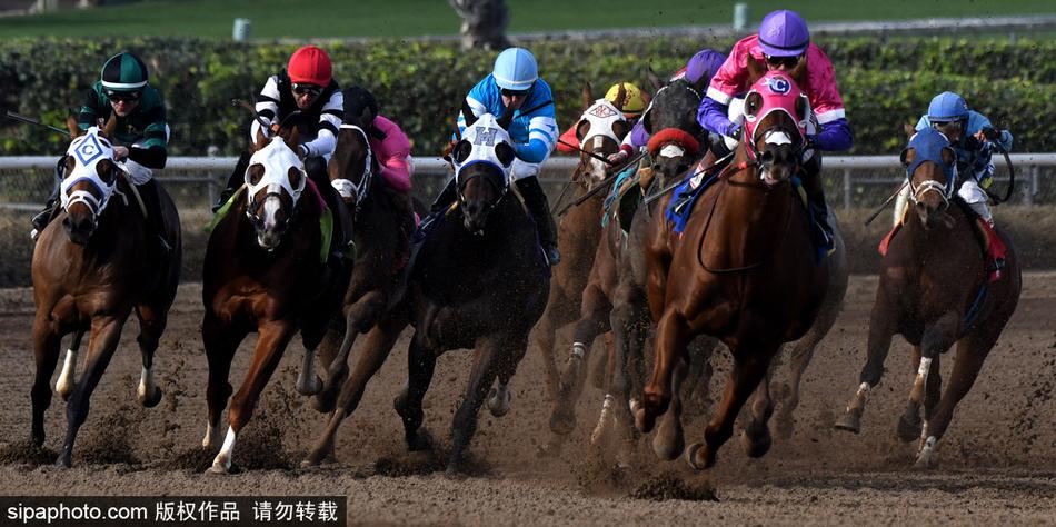 探索神秘數(shù)字組合，66O678與王中王定碼四不像一肖，揭秘神秘數(shù)字組合，王中王定碼四不像一肖與數(shù)字組合探索