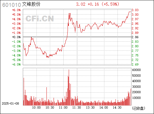 探索文峰股份，601010的獨特魅力與未來展望，文峰股份（601010）的獨特魅力及未來展望探索