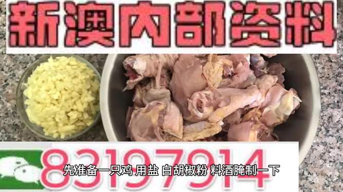 探索未來的澳門——關(guān)于新澳門資料雞號(hào)的深度解析，澳門未來展望，深度解析新澳門資料雞號(hào)