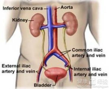 前列腺疾病治療