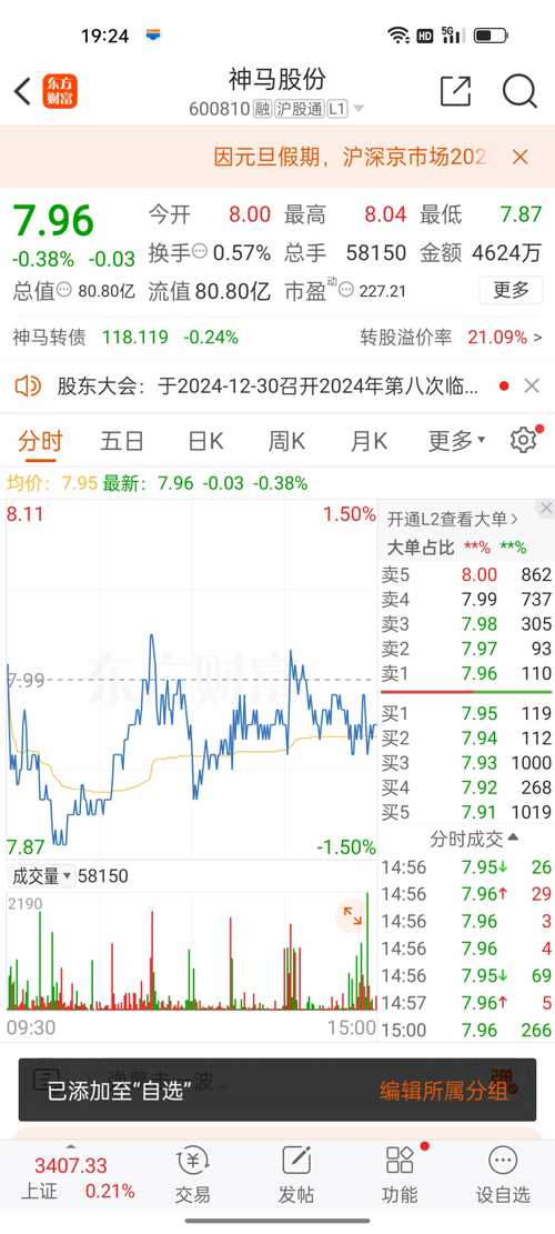 神馬股份（股票代碼，600810）股吧深度解析，神馬股份（股票代碼，600810）股吧全面深度解析